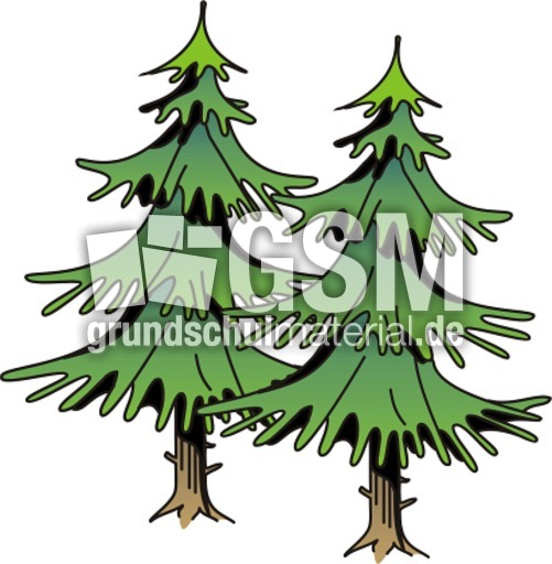 Tannen.tif